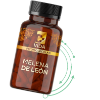 C-Vida Melena de León