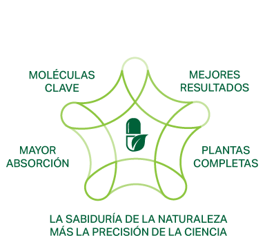 Enfoque fitomolecular C-Vida